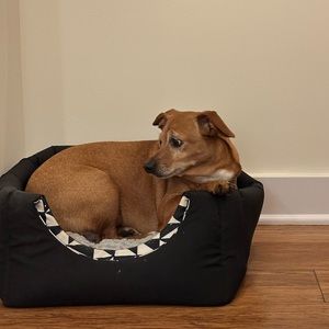 Meet your Posher, David